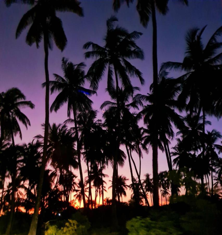 Beachfront Villa Ladha Ya Zanzibar Jambiani  Zewnętrze zdjęcie
