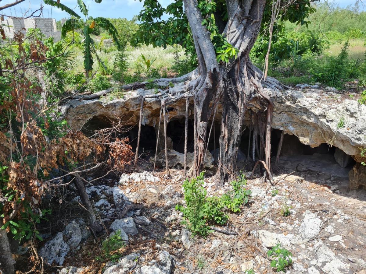 Beachfront Villa Ladha Ya Zanzibar Jambiani  Zewnętrze zdjęcie