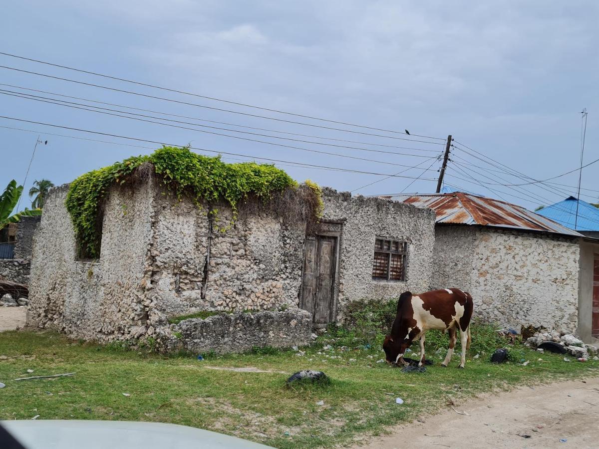 Beachfront Villa Ladha Ya Zanzibar Jambiani  Zewnętrze zdjęcie